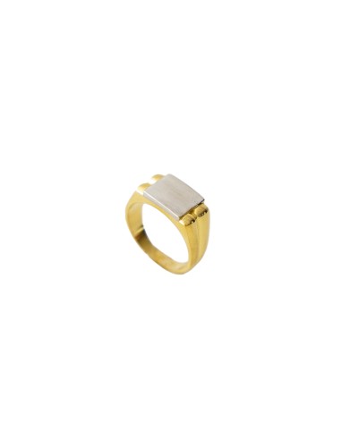 Sello Hombre Oro 18K Bastian big bicolor