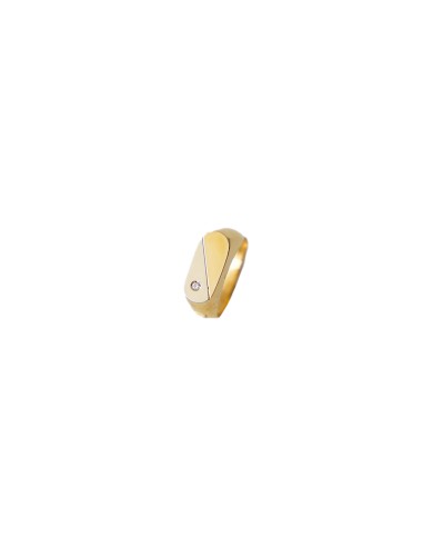 br-Sello Hombre Oro 18K roi bicolor