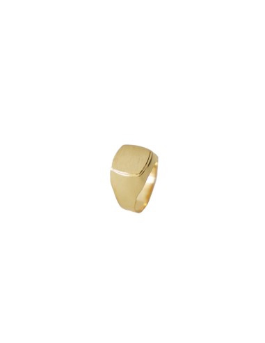 Sello Hombre Oro 18K teo 