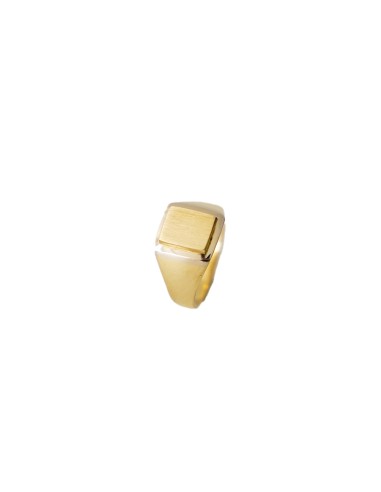 Sello Hombre Oro 18K james bicolor